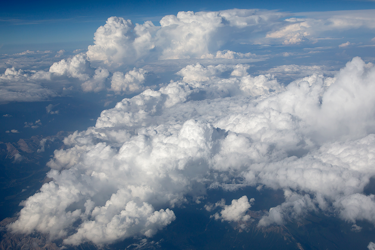 UT6A4165.jpg