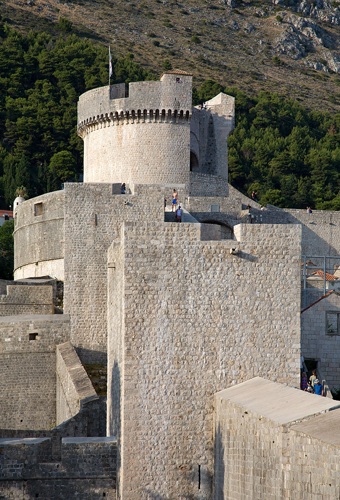 UT6A4951.jpg